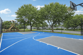 Blue basketball court